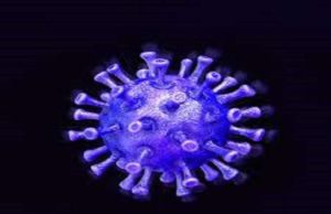 angamner City 13 and taluka 21 corona infected