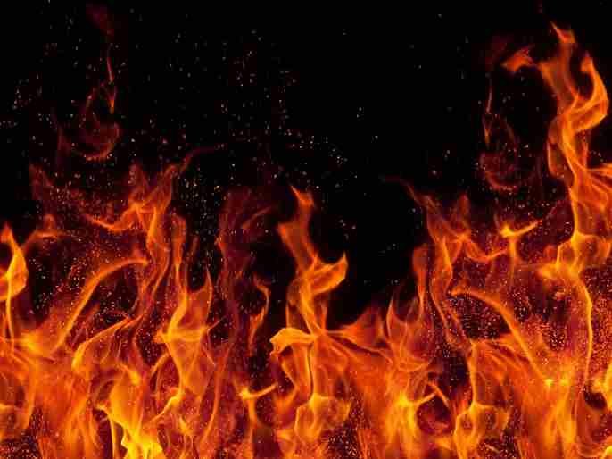 Fire on 25 acres in Akole taluka