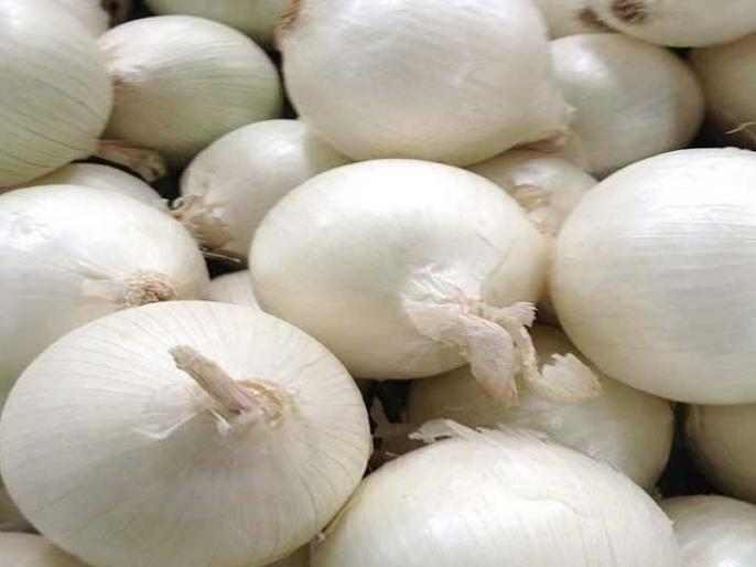 Rahuri onion seeds fraud