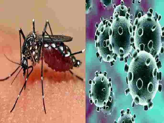 Ahmednagar News After Corona dengu disease started 