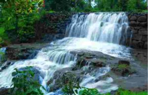 Continuous rains in Bhandardara dam Mula Dam