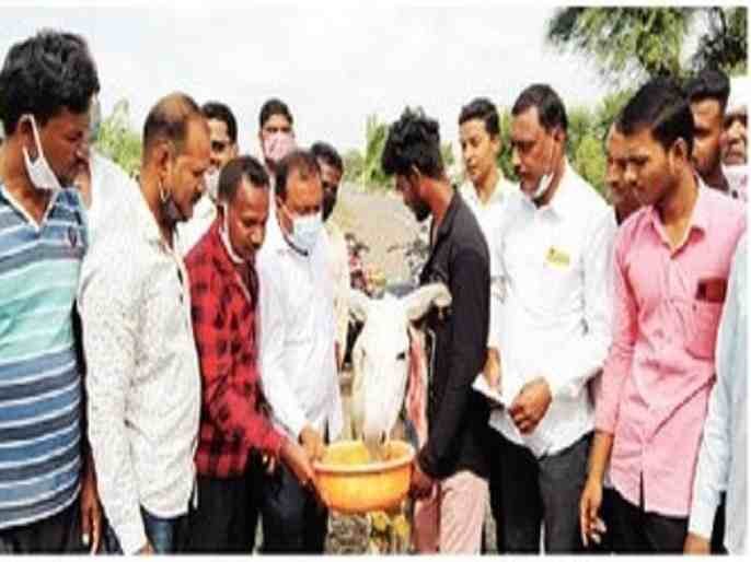 Sangamner Government protests against donkey milk