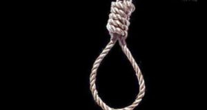 Suicide by strangling a mango tree  