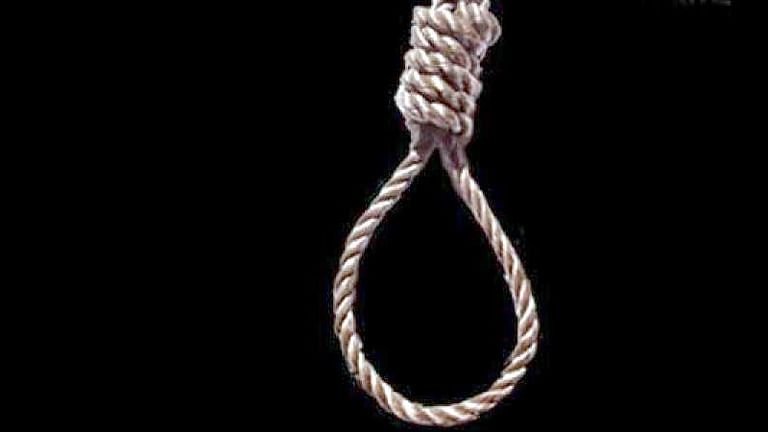 Suicide by strangling a mango tree  