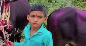 Accident 12-year-old boy was found dead under the wheel of a bullock cart