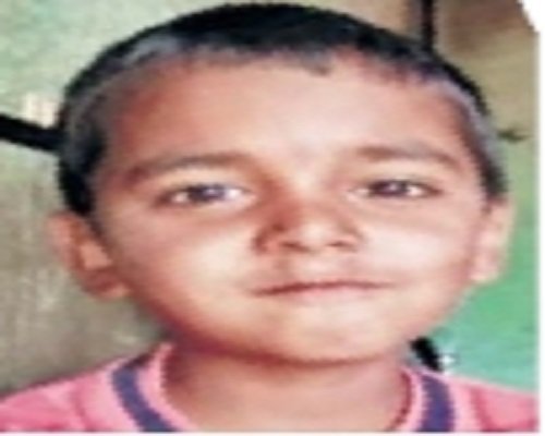Sinnar Accident fell into a well and died