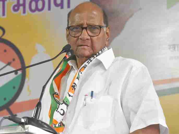 NCP president Sharad Pawar will contest these three state elections