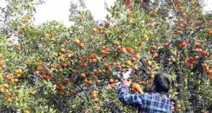 Fraud Case Farmer robbed of Rs 14 lakh, two traders arrested