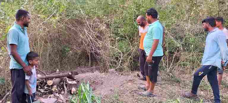 Sangamner Sandalwood theft in Sangamner taluka throws stones