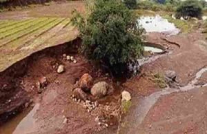 Parner rain like cloud burst, hundreds of acres of agriculture were washed away