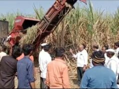Sugarcane cutting stopped, agitation raged