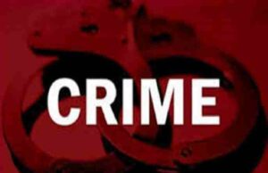 crime branch raid slaughterhouse in Sangamner