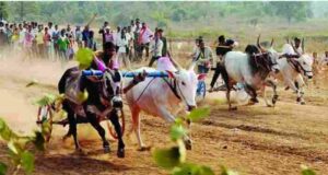 young man died after a wheel fell off his body during a bullock cart race Accident