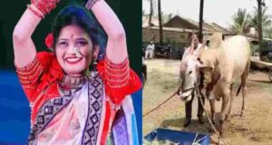 Sabse Katil Gautami Patil on Bull's birthday
