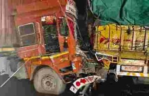 accident involving two trucks and a small elephant kills four