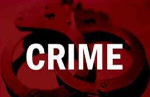 illegal ganja and opium plants in fields, police raid