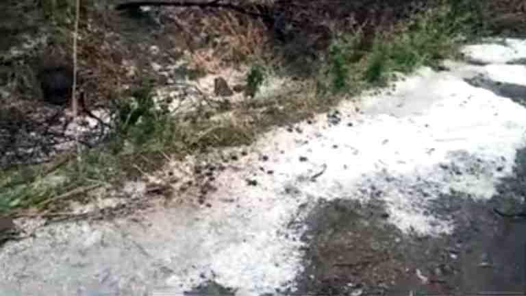 Hailstorm Rain in Akole taluka, extensive damage to crops