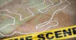 Murder of elder of brother by younger brother