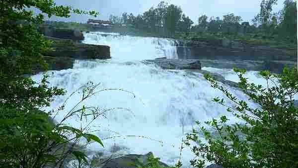 Heavy rains in Bhandardara watershed, Nilavanda also on the verge of filling