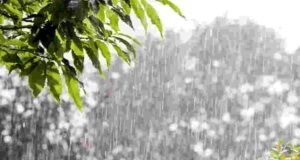 Four days rain alert issued for Ahmednagar