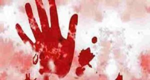 Elder brother Murder by ax wound Father commits suicide