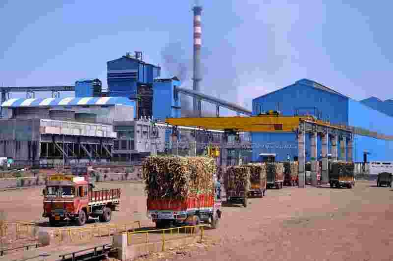 Sugar Factory Central Government Decision