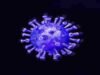 new coronavirus has increased the concern, the death of three