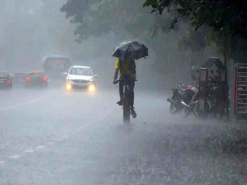 Farmers are worried about the crisis of 'Avakali' Rain for two more days