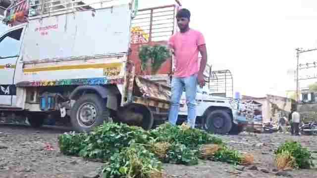 there was no price, fenugreek and coriander were thrown on the street