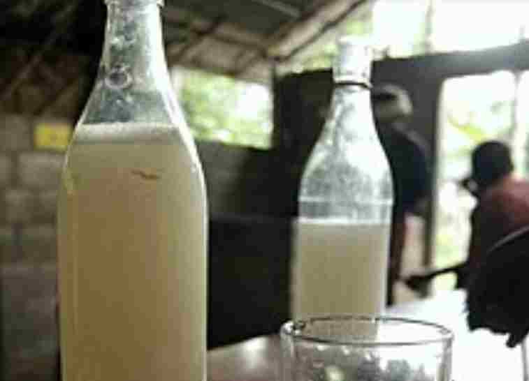 Police raids fake toddy shop in Sangamner