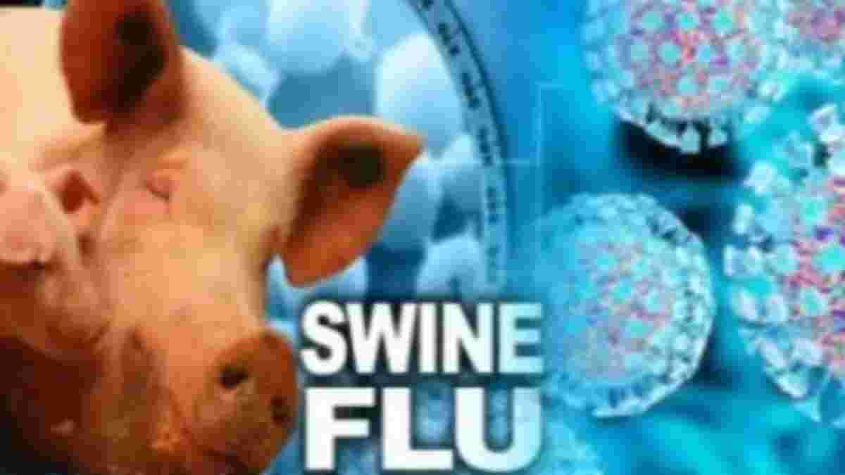 One death due to swine flu in Sinner