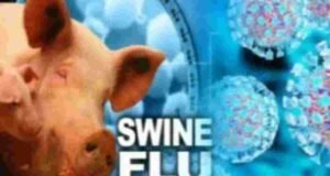 Two died due to swine flu in Nashik