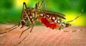 2 Zika patients in Sangamner