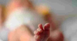 Abandoned infant found in garbage pit of Sai Sansthan hospital