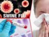 One in Akole taluka contracted swine flu