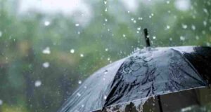 big crisis will hit Maharashtra; Schools holiday, high alert Rain