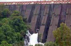 raining in Bhandardara catchment area and the dam is 50 percent full