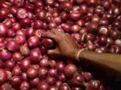 Ahmednagar Onion Market Price moves towards record prices