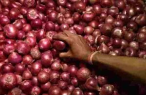 Ahmednagar Onion Market Price moves towards record prices