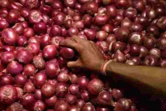 Ahmednagar Onion Market Price moves towards record prices