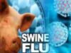 Another person died of swine flu in Akole