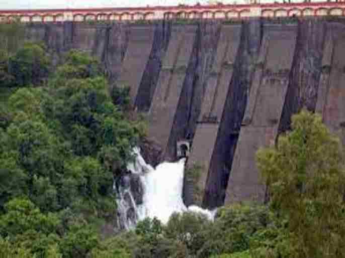 Bhandardara, the rain increased Increased discharge into the riverbed