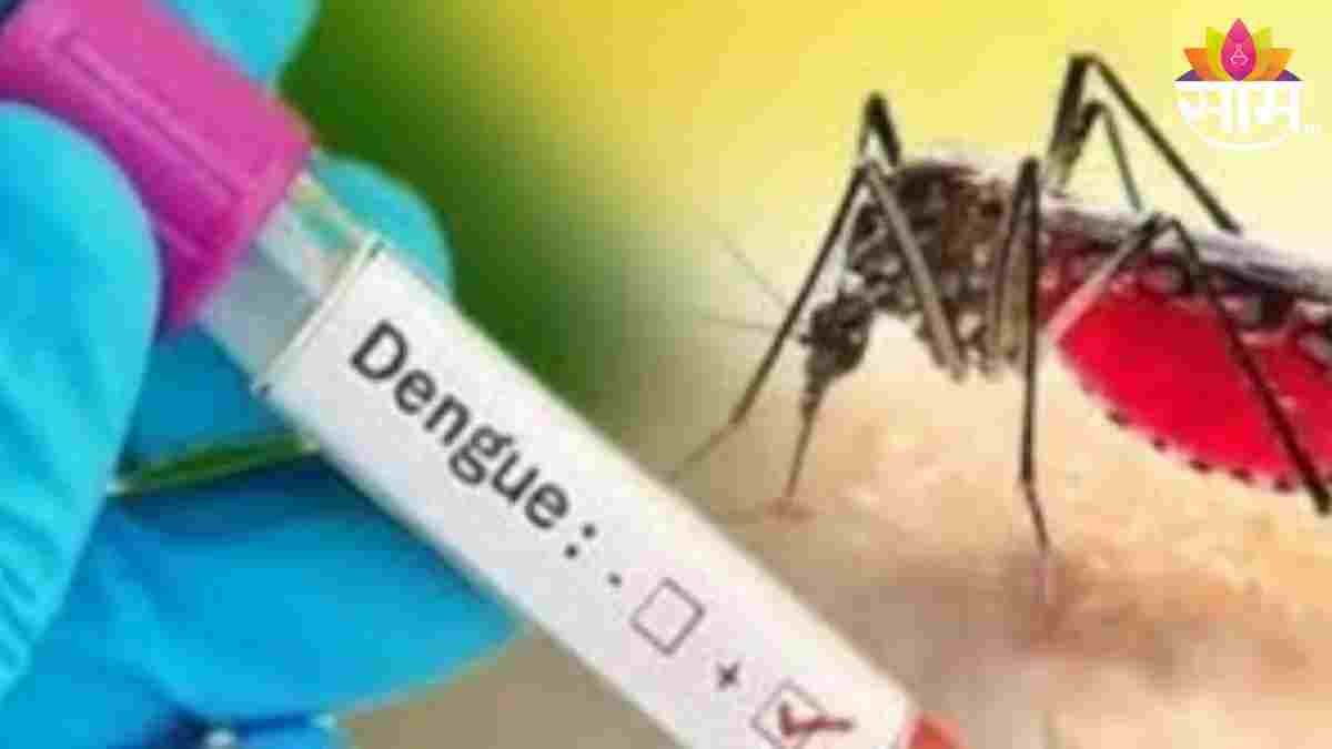 Dengue spread in Ahmednagar, 15 dengue patients