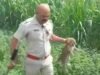 Leopard attacks two people, two injured