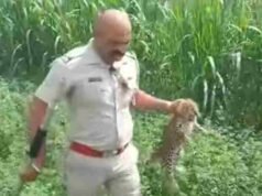 Leopard attacks two people, two injured