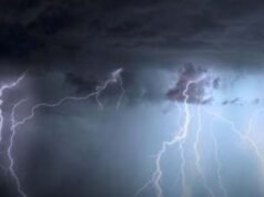 13 sheep killed by lightning, heavy rain