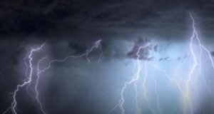 13 sheep killed by lightning, heavy rain