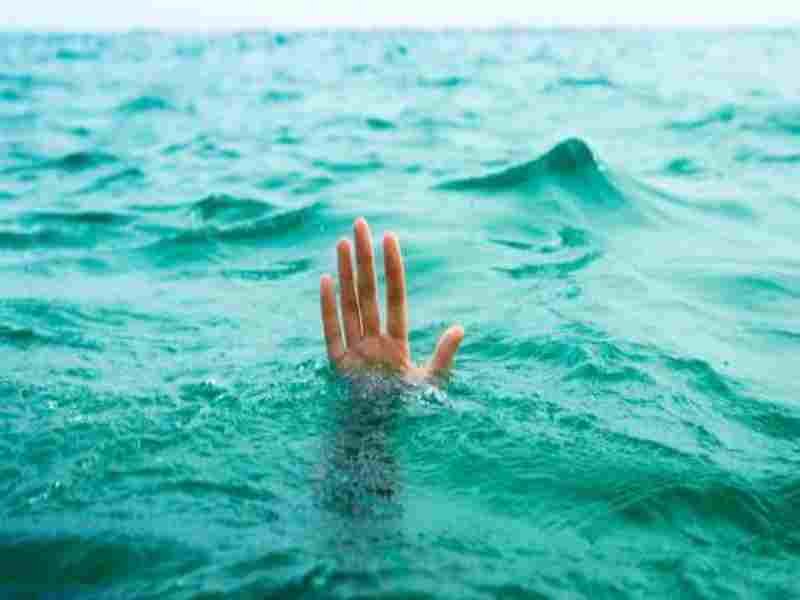 Two farmers drowned after falling into the river