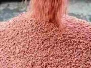 Agriculture department raids fake fertilizer manufacturing factory