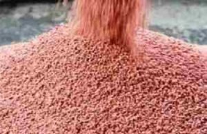 Agriculture department raids fake fertilizer manufacturing factory